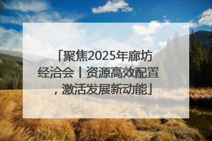 聚焦2025年廊坊经洽会丨资源高效配置，激活发展新动能