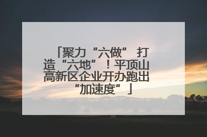 聚力“六做” 打造“六地”！平顶山高新区企业开办跑出“加速度”