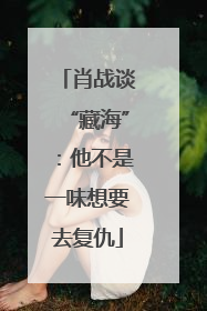 肖战谈“藏海”：他不是一味想要去复仇