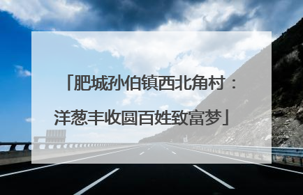 肥城孙伯镇西北角村：洋葱丰收圆百姓致富梦