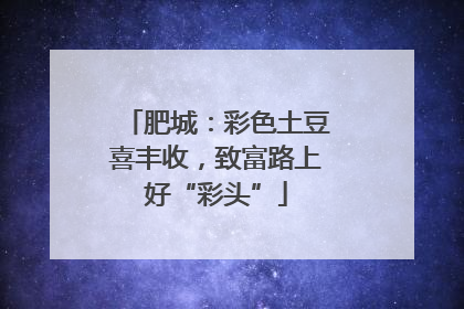 肥城：彩色土豆喜丰收，致富路上好“彩头”