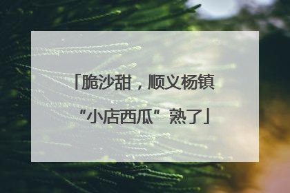 脆沙甜，顺义杨镇“小店西瓜”熟了