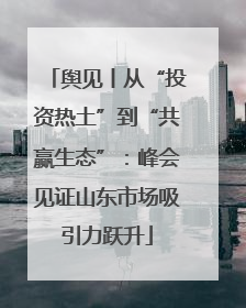 舆见丨从“投资热土”到“共赢生态”：峰会见证山东市场吸引力跃升