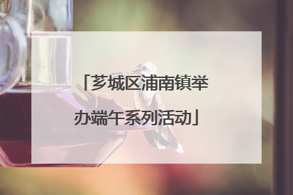 芗城区浦南镇举办端午系列活动