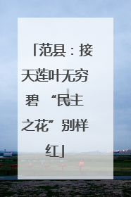 范县：接天莲叶无穷碧 “民主之花”别样红
