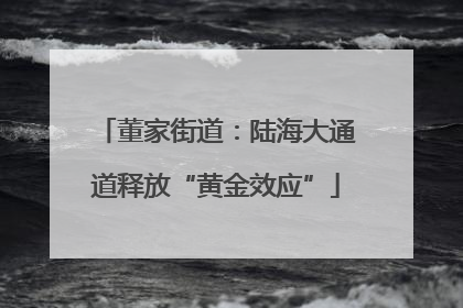 董家街道：陆海大通道释放“黄金效应”