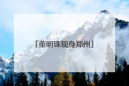 董明珠现身郑州