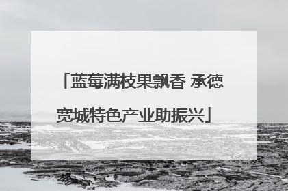 蓝莓满枝果飘香 承德宽城特色产业助振兴