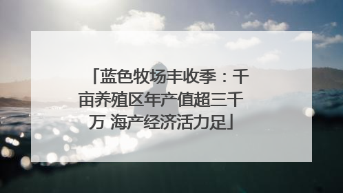 蓝色牧场丰收季：千亩养殖区年产值超三千万 海产经济活力足