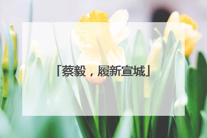 蔡毅，履新宣城