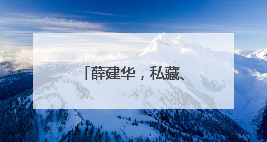 薛建华，私藏、浏览有严重政治问题的网络文章