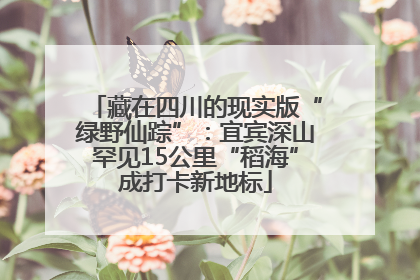 藏在四川的现实版“绿野仙踪”：宜宾深山罕见15公里“稻海”成打卡新地标