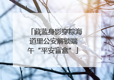 藏蓝身影穿粽海 道里公安解锁端午“平安盲盒”