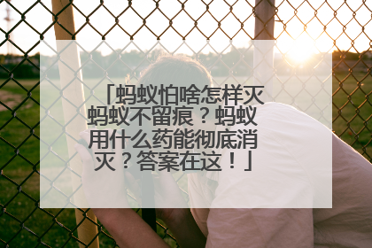 蚂蚁怕啥怎样灭蚂蚁不留痕？蚂蚁用什么药能彻底消灭？答案在这！