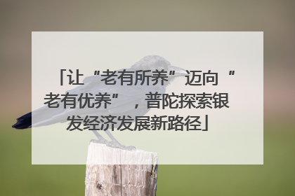 让“老有所养”迈向“老有优养”，普陀探索银发经济发展新路径