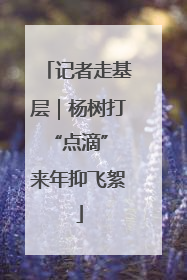 记者走基层｜杨树打“点滴” 来年抑飞絮