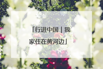 行进中国｜我家住在黄河边