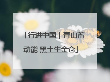 行进中国｜青山蓄动能 黑土生金仓