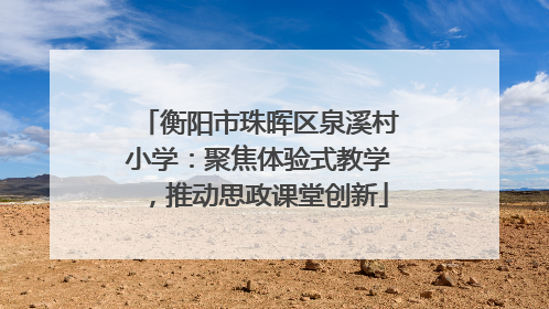衡阳市珠晖区泉溪村小学：聚焦体验式教学，推动思政课堂创新
