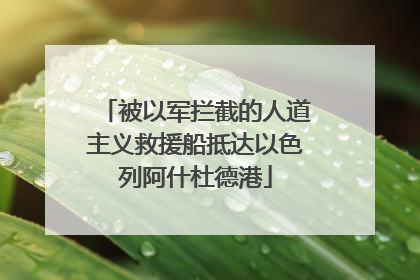 被以军拦截的人道主义救援船抵达以色列阿什杜德港