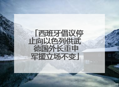 西班牙倡议停止向以色列供武 德国外长重申军援立场不变