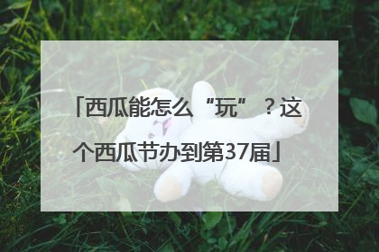 西瓜能怎么“玩”？这个西瓜节办到第37届