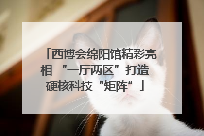 西博会绵阳馆精彩亮相 “一厅两区”打造硬核科技“矩阵”