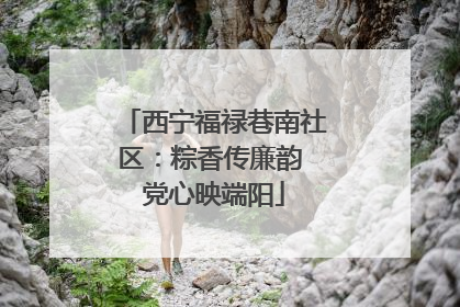 西宁福禄巷南社区：粽香传廉韵 党心映端阳