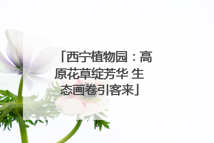 西宁植物园：高原花草绽芳华 生态画卷引客来