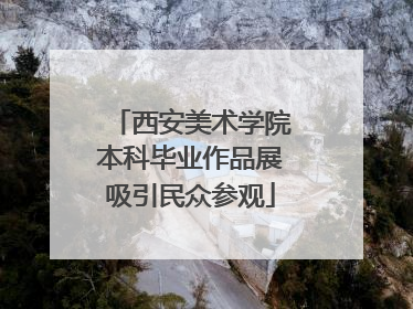 西安美术学院本科毕业作品展吸引民众参观