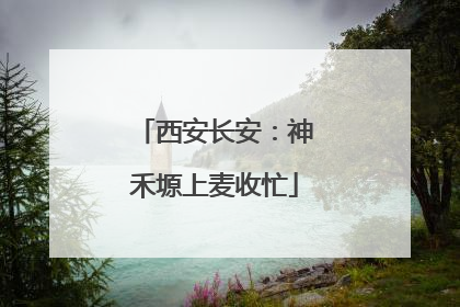 西安长安：神禾塬上麦收忙
