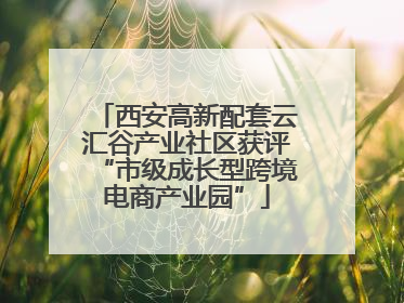 西安高新配套云汇谷产业社区获评“市级成长型跨境电商产业园”