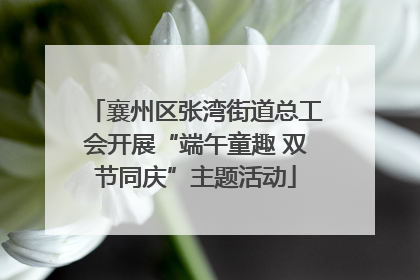 襄州区张湾街道总工会开展“端午童趣 双节同庆”主题活动