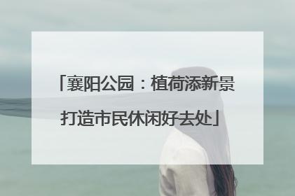 襄阳公园：植荷添新景 打造市民休闲好去处