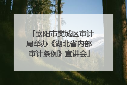 襄阳市樊城区审计局举办《湖北省内部审计条例》宣讲会