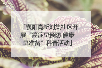 襄阳高新刘集社区开展“癌症早预防 健康早准备”科普活动