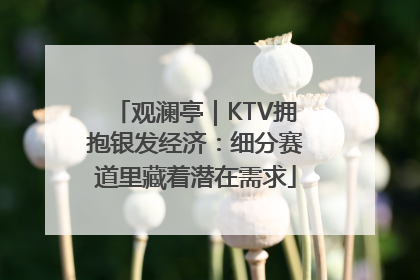 观澜亭｜KTV拥抱银发经济：细分赛道里藏着潜在需求