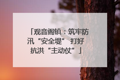 观音阁镇：筑牢防汛“安全堤” 打好抗洪“主动仗”