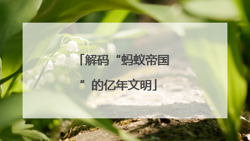 解码“蚂蚁帝国”的亿年文明