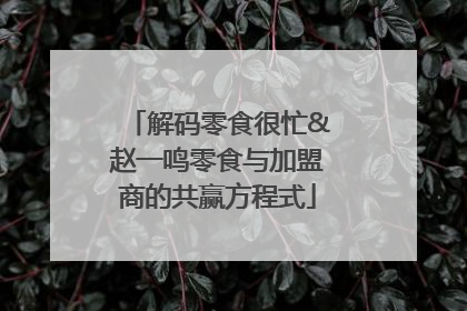 解码零食很忙&赵一鸣零食与加盟商的共赢方程式