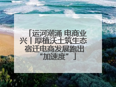 运河潮涌 电商业兴丨厚植沃土筑生态 宿迁电商发展跑出“加速度”