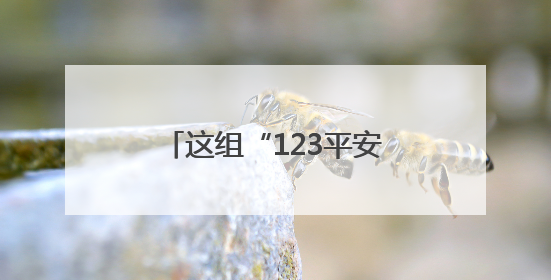 这组“123平安密码”，如何守护群众平安？一起探寻