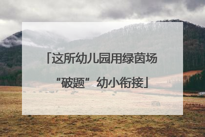 这所幼儿园用绿茵场“破题”幼小衔接