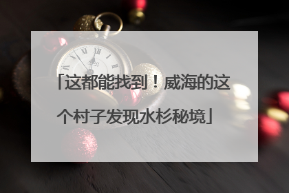 这都能找到！威海的这个村子发现水杉秘境