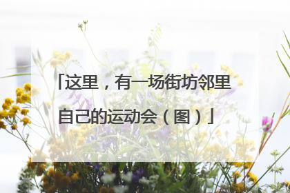这里，有一场街坊邻里自己的运动会（图）