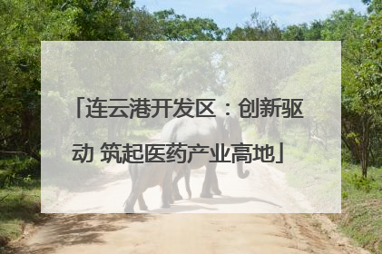 连云港开发区：创新驱动 筑起医药产业高地
