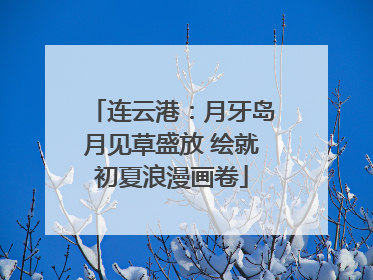 连云港：月牙岛月见草盛放 绘就初夏浪漫画卷
