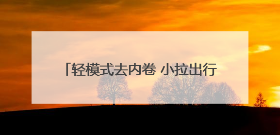 轻模式去内卷 小拉出行撬动网约车生态新可能