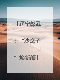 辽宁彰武：“沙窝子”焕新颜