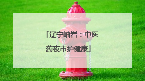 辽宁岫岩：中医药夜市护健康